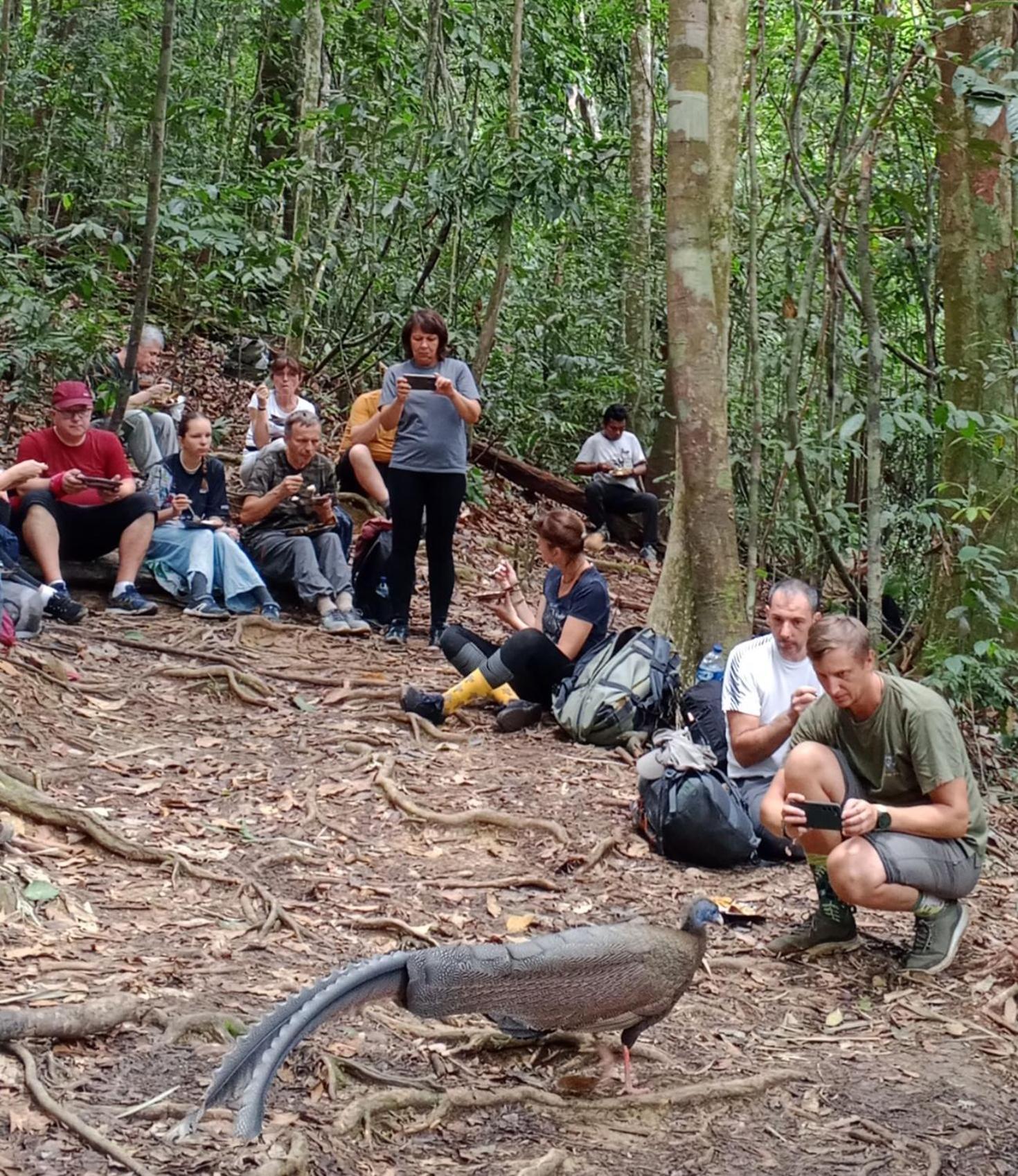 Sama Sama Homestay & Trekking Only Stay Here Book Trekking And Transport With Us Bukit Lawang Exteriér fotografie