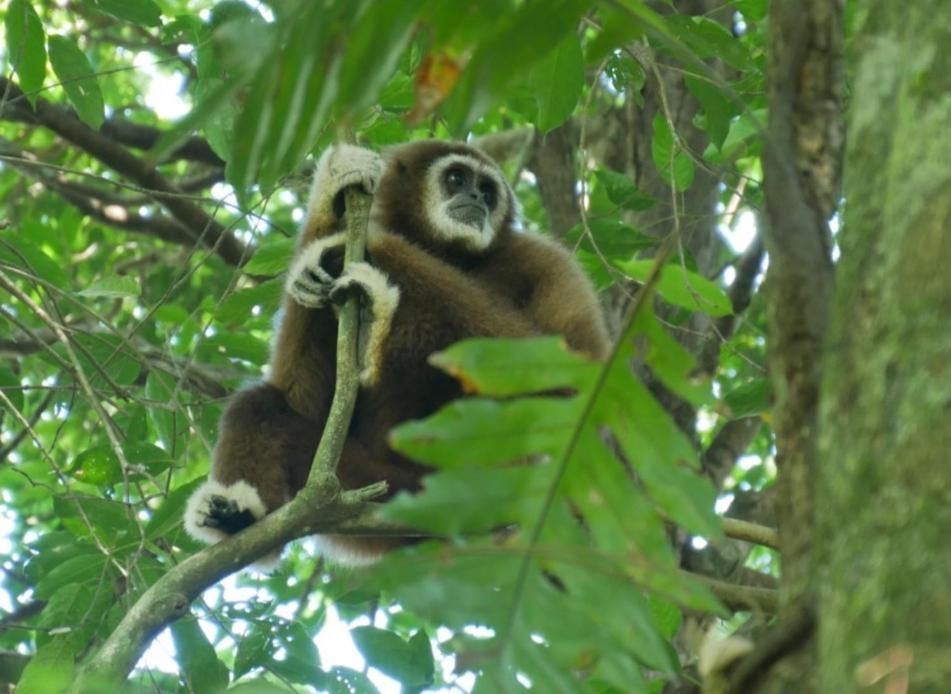 Sama Sama Homestay & Trekking Only Stay Here Book Trekking And Transport With Us Bukit Lawang Exteriér fotografie