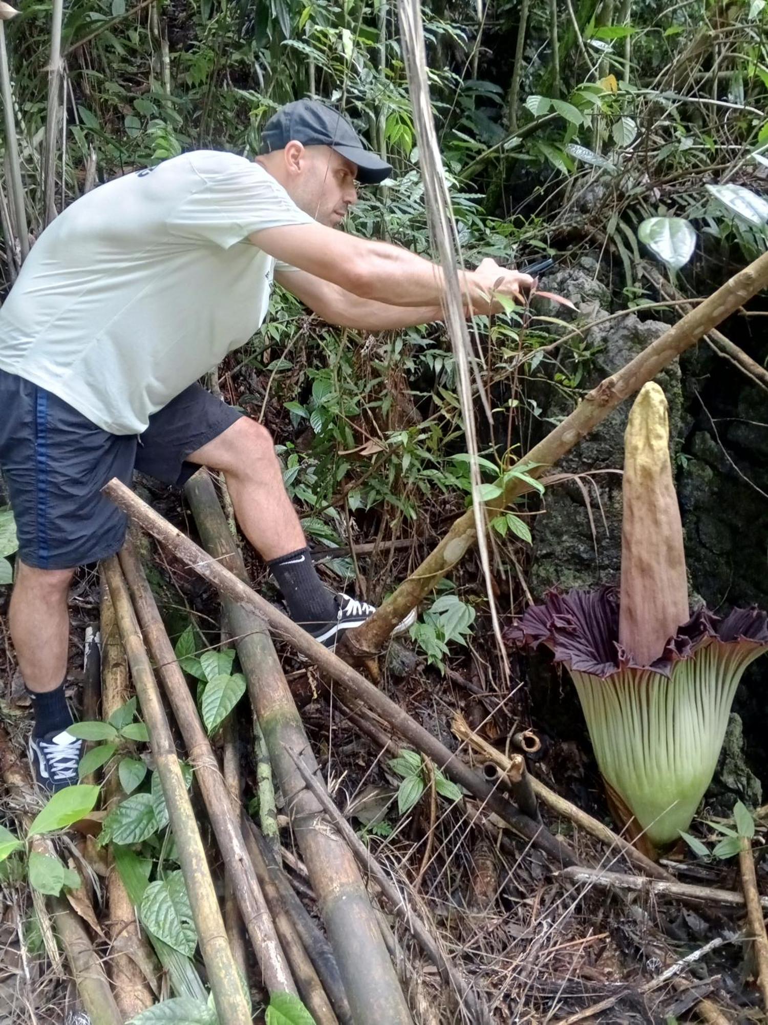 Sama Sama Homestay & Trekking Only Stay Here Book Trekking And Transport With Us Bukit Lawang Exteriér fotografie