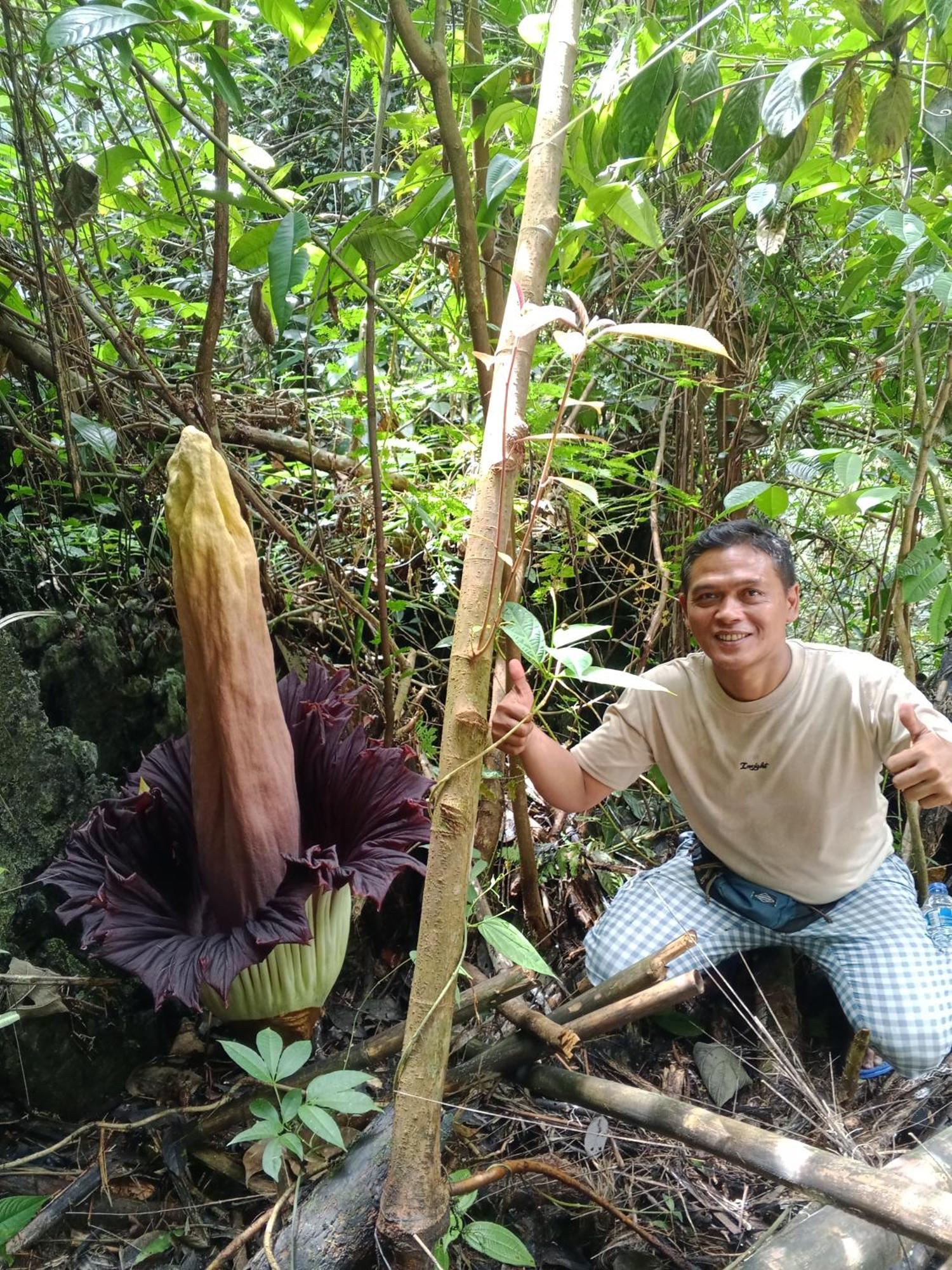 Sama Sama Homestay & Trekking Only Stay Here Book Trekking With Us Bukit Lawang Exteriér fotografie