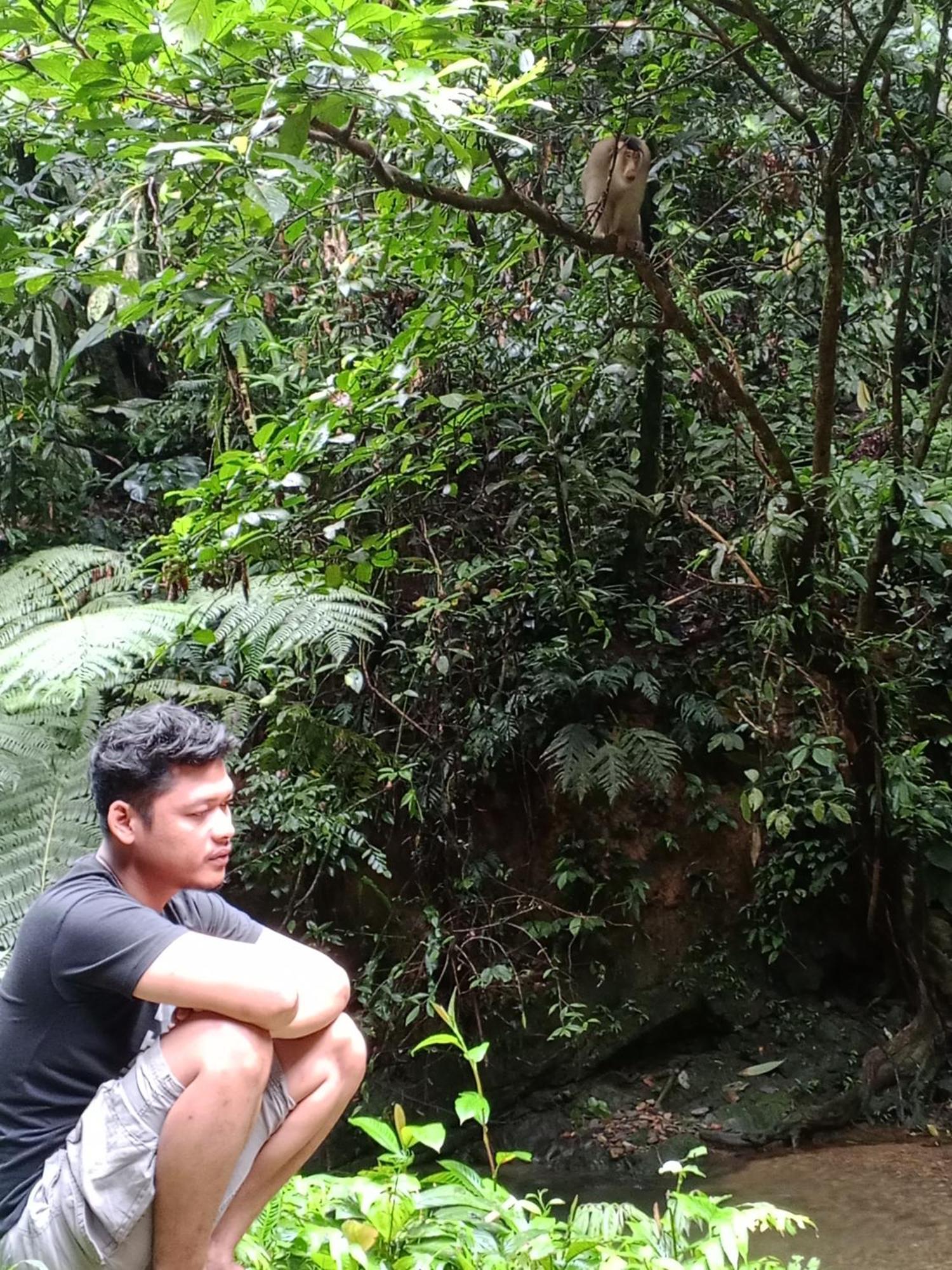 Sama Sama Homestay & Trekking Only Stay Here Book Trekking And Transport With Us Bukit Lawang Exteriér fotografie