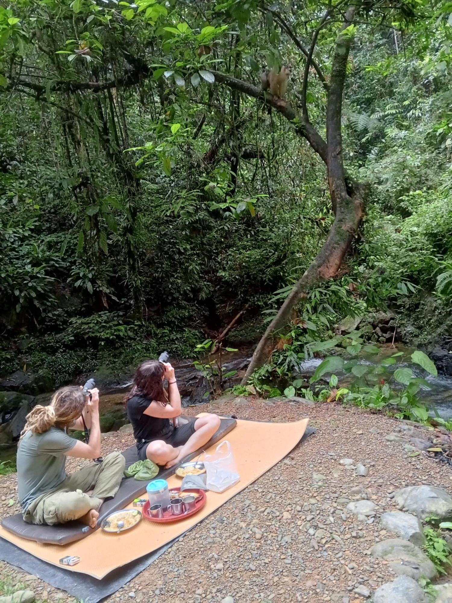 Sama Sama Homestay & Trekking Only Stay Here Book Trekking And Transport With Us Bukit Lawang Exteriér fotografie